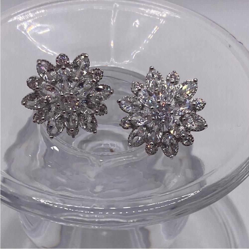 Zircon Earrings - image 1